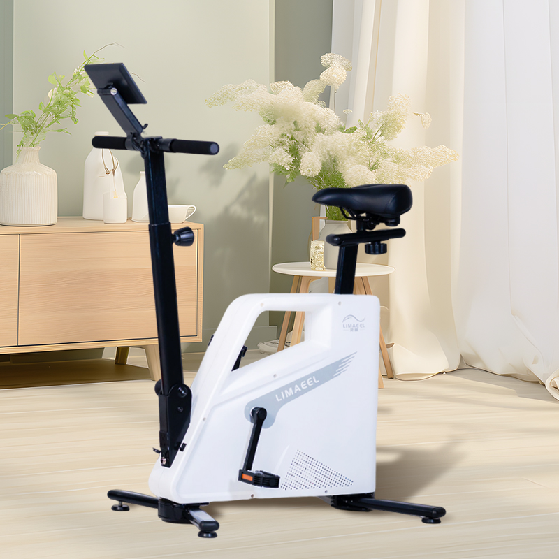 Smart Power Generation Fitness Bike